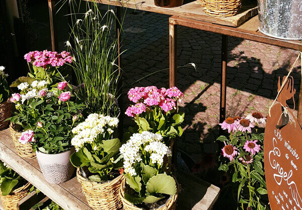 Sommer, Sonne 3